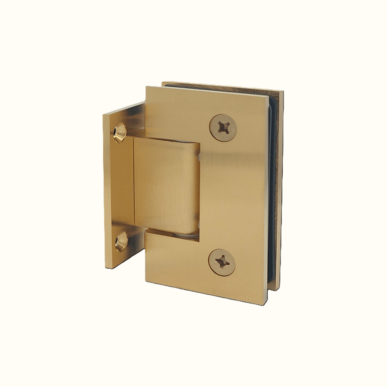 Pentures Robustes pour Douche et Cellier