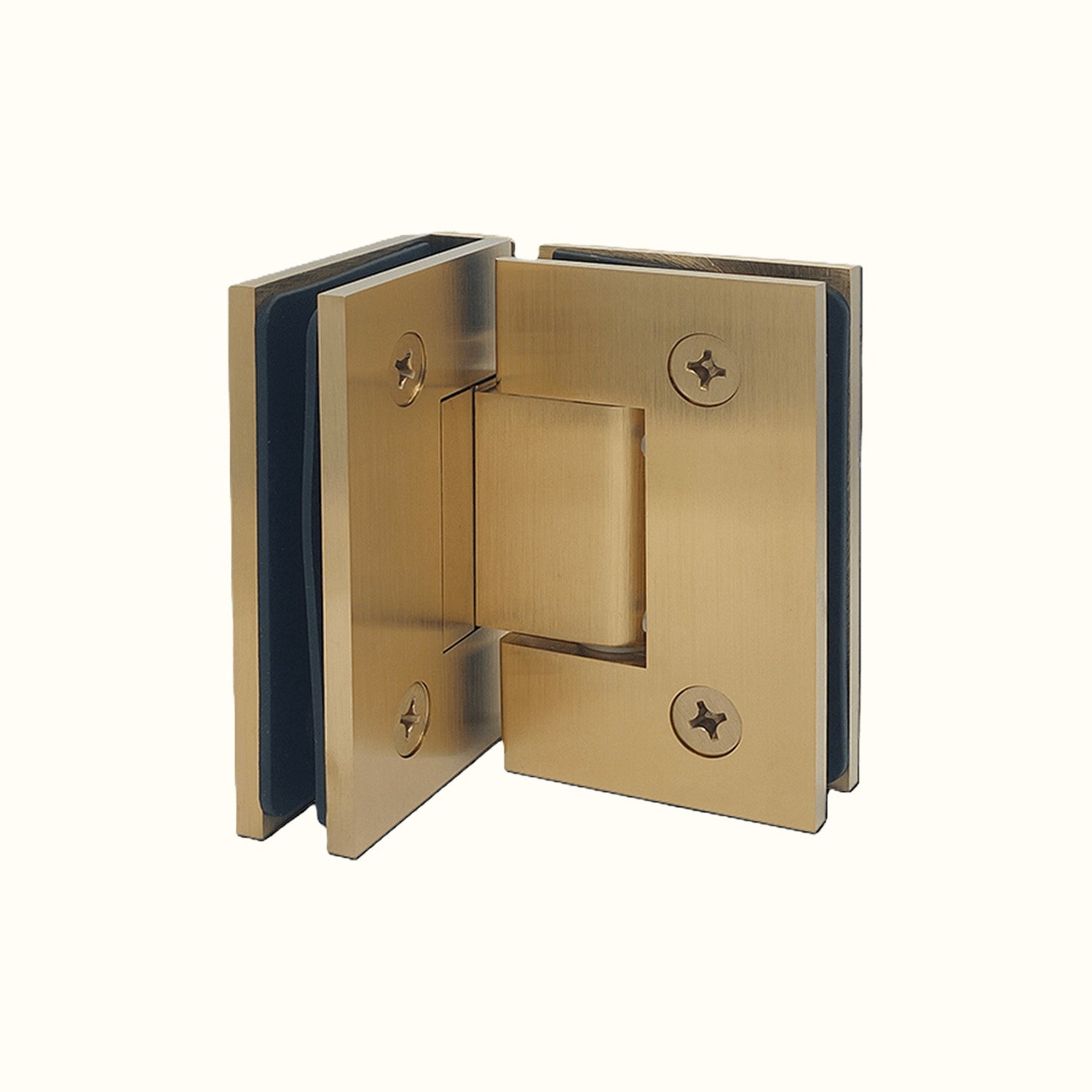 Pentures Robustes pour Douche et Cellier