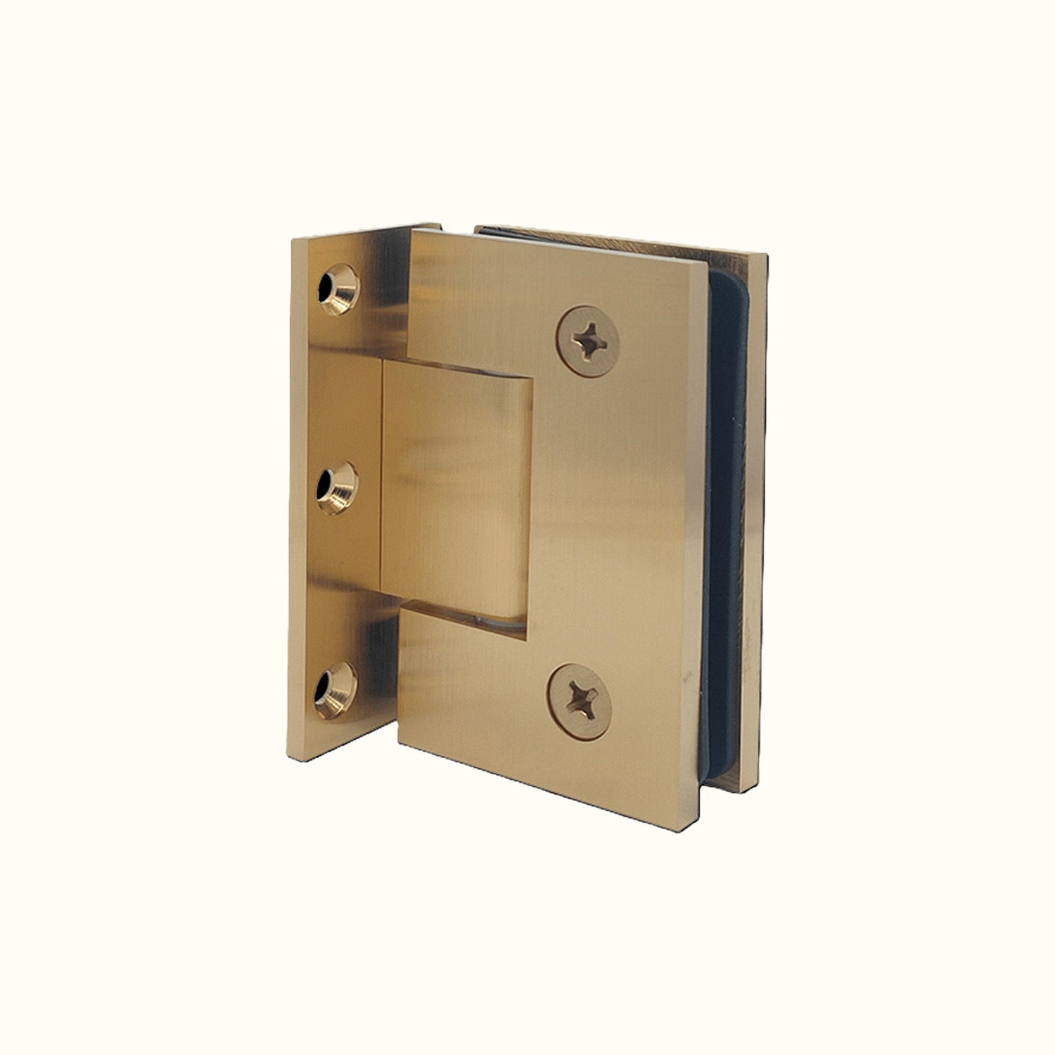 Pentures Robustes pour Douche et Cellier