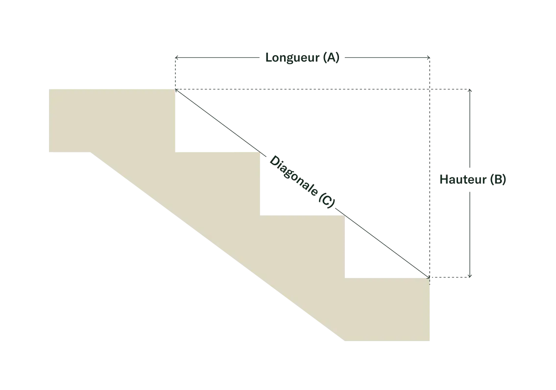 Schema